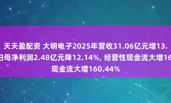 天天盈配资 大明电子2025年营收31.06亿元增13.92%, 归母净利润2.48亿元降12.14%, 经营性现金流大增160.44%